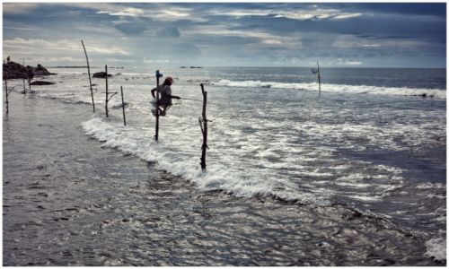 Zdjcie SRI LANKA / - / Weligama / stilt fishermen