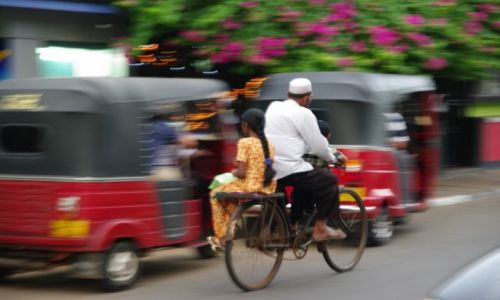 Zdjecie SRI LANKA / Sri Lanka / Sri Lanka / Powrt ze szkoy