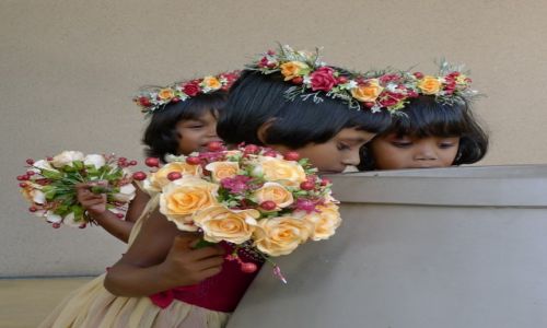 Zdjecie SRI LANKA / Okolice Colombo / Wattala / Ciekawskie...
