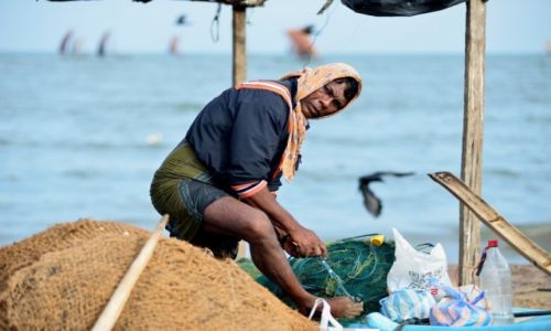 Zdjcie SRI LANKA / HAMBANTOTA / TANGALLE / Lankijscy rybacy - pilgnacja sieci po poowie