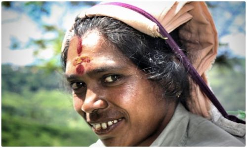 Zdjecie SRI LANKA / Ella / Ella / tea picker