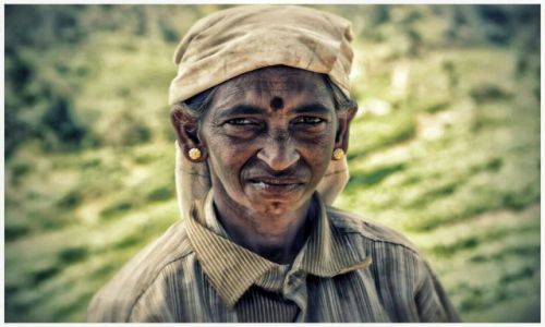 Zdjecie SRI LANKA / Ella / Ella / tea picker