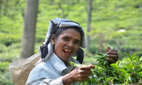 Zdjecie SRI LANKA / - / Ella / Inne oblicze Lankijki z naszych zdj ;)