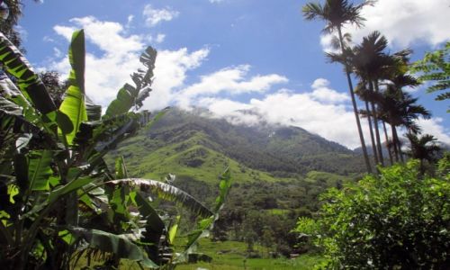 Zdjcie SRI LANKA / Prowincja poudniowa / Kulapahana / Tonc w zieleni