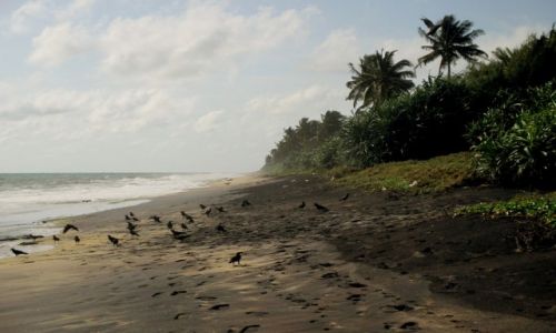 Zdjcie SRI LANKA / Negombo / Dzikie plae / Czarna plaa