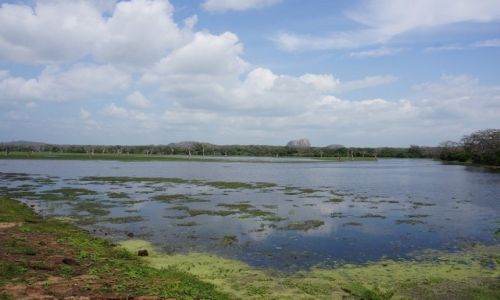 Zdjcie SRI LANKA / Yala / park narodowy Yala / Sri Lanka