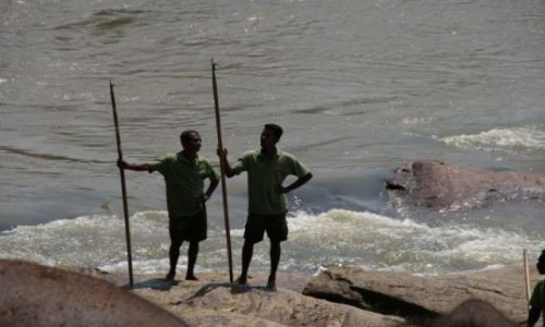 Zdjęcie SRI LANKA / Pinawella / Sierociniec sloni / Zaklinacze sloni