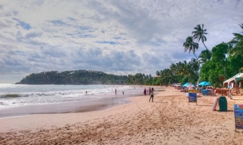 Zdjęcie SRI LANKA / MIrissa / Mirissa / Plaża