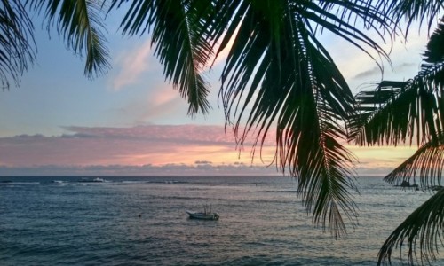Zdjęcie SRI LANKA / Mirissa / Mirissa / Zachód słońca