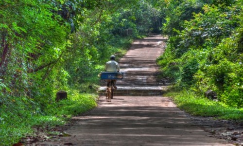 Zdjęcie SRI LANKA / Negombo / Negombo / Sprzedawca ryb i owoców morza