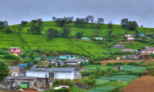 Zdjcie SRI LANKA / Nuwara Eliya / Nuwara Eliya / Pochmurny poranek