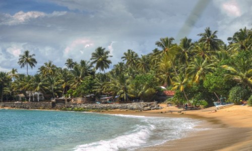 Zdjecie SRI LANKA / Mirissa / Mirissa / Mirissa