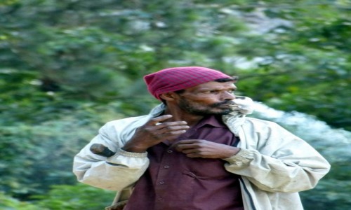 Zdjcie SRI LANKA / Prowincja Centralna / Nuwara Eliya / Robotnik leny