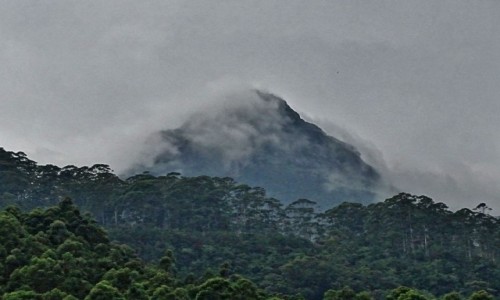 Zdjęcie SRI LANKA / Central Province / Adam\'s Peak / Adam\'s Peak
