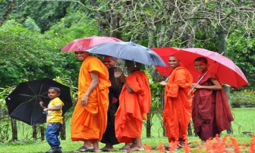 Zdjęcie SRI LANKA / Central Province / Alu Vihara / Mnisi buddyjsce
