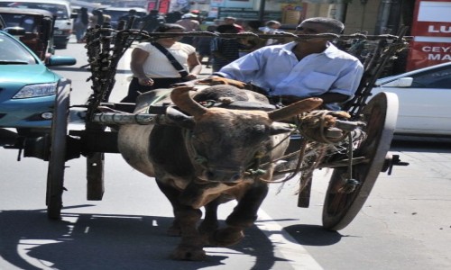 Zdjęcie SRI LANKA / Central Province / Kandy  / Transport miejski