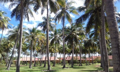 Zdjecie SRI LANKA / Thoduwawa / orodek wypoczynkowy / pocztwka ze Sri Lanki
