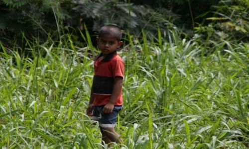 Zdjecie SRI LANKA / Poludnie / Deniyaya / Portret chlopca