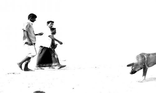 Zdjecie SRI LANKA / Wschodnie wybrzee / Arugam Bay / plaa