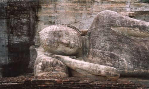 SRI LANKA / brak / Polonnaruwa / Lecy BUDDA