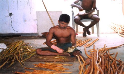 SRI LANKA / brak / Sri Lanka rodkowa / FABRYKA CYNAMONU