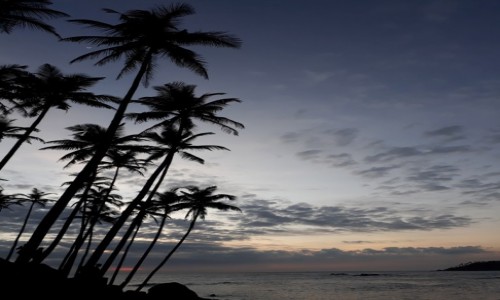 Zdjecie SRI LANKA / Mirissa / Coconaut Hill / Gdzie jest ksiyc?