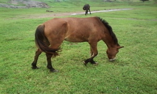 Zdjęcie SRI LANKA / Sri Lanca / Sri Lanka / Sri Lanka