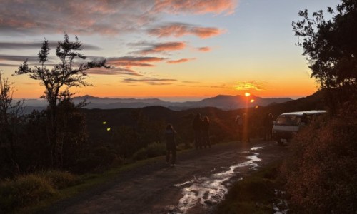 SRI LANKA / central province / Nuwaraeliya / Horton plains