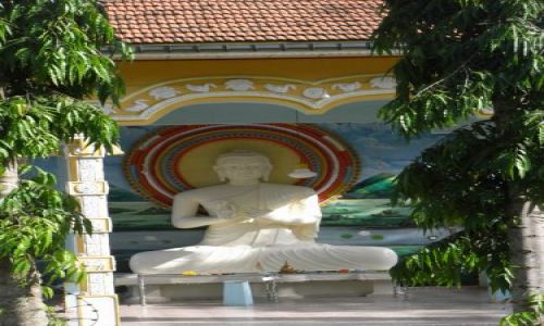 Zdjecie SRI LANKA / Poludnie / Trasa Deniyaya-Matara / Urodziny Buddy