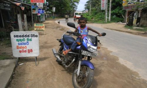 Zdjęcie SRI LANKA / Poludnie / Habaraduwa / Jestem taaki duzy!
