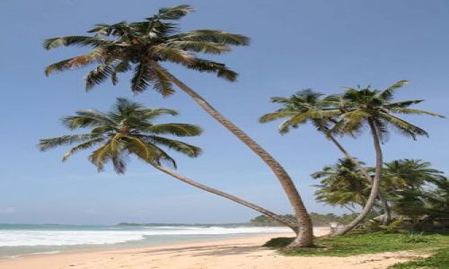 Zdjecie SRI LANKA / brak / Poudnie Wyspy / Unawatuna Beach