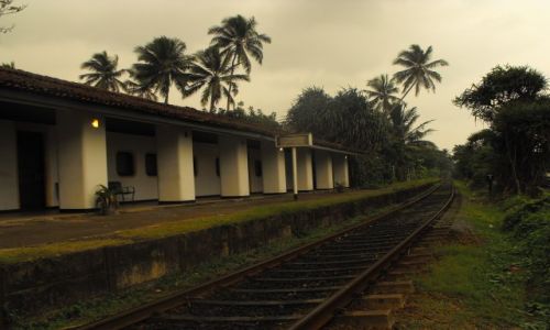 Zdjęcie SRI LANKA / Bentota / samotna stacja kolejowa / stacja kolejowa w dżungli