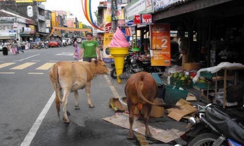 Zdjecie SRI LANKA / Galle  / centrum miasta / typowa scenka