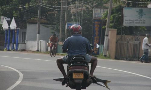 Zdjecie SRI LANKA / Poludniowy zachod / Wewala / Zagrycha juz w drodze
