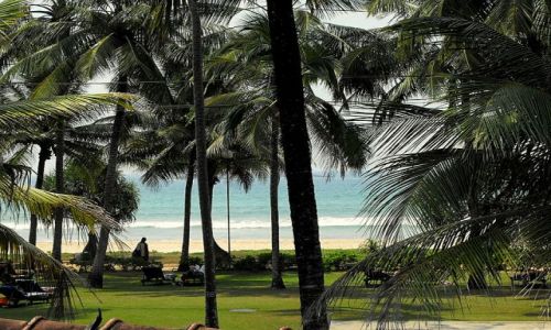 Zdjecie SRI LANKA / Bentota płd.wyspy / widok z mojego okna w hotelu / widok z okna