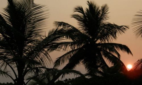 Zdjecie SRI LANKA / poudniowy-zachd / Kalutara / Kicz 2