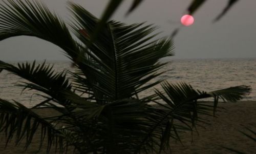 Zdjecie SRI LANKA / poudniowy-zachd / Kalutara / Kicz 3