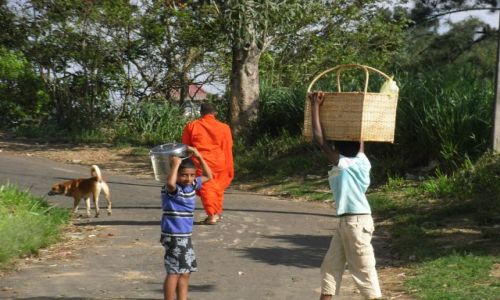 Zdjecie SRI LANKA / KANDY / Droga prowadzaca do klasztoru  / Wykorzystywanie dzieci