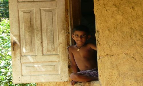 Zdjecie SRI LANKA / -azja / sri lanka / wioska cynamonowa