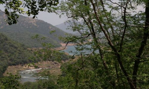 Zdjecie SRI LANKA / Prowincja centralna / Trasa Kandy-Hanguranketa / Victoria Reservoir