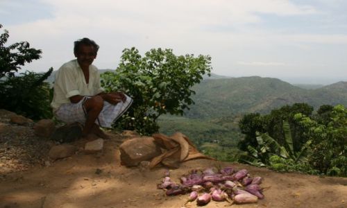 Zdjecie SRI LANKA / Uva / Ella-Nuwara Eliya / Sprzedawca baklazanow