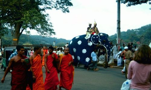 Zdjęcie SRI LANKA / brak / Sri Lanka  / Kandy / Parada z okazji pełni księżyca