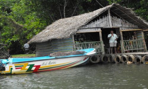 Zdjęcie SRI LANKA / Bentota / wysepka na rozlewisku rzeki Bentota / i on na swojej