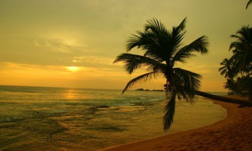 Zdjecie SRI LANKA / Hikudaw  / hIKUDAWA / Plaża