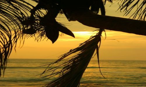 Zdjęcie SRI LANKA / -hIKUDAWA / HIKUDAWA / kOKOS