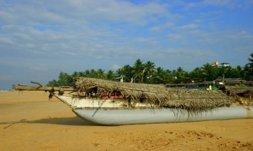 Zdjęcie SRI LANKA / Hikudawa / Hikudawa / Pod mat±
