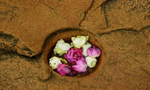 Zdjecie SRI LANKA / Anuradhapura / Anuradhapura / �wi�te  miejsce