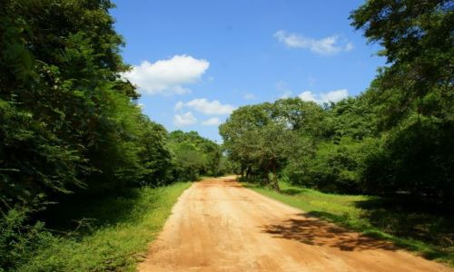 Zdjęcie SRI LANKA / Pulanawura / Pulanawura / Droga