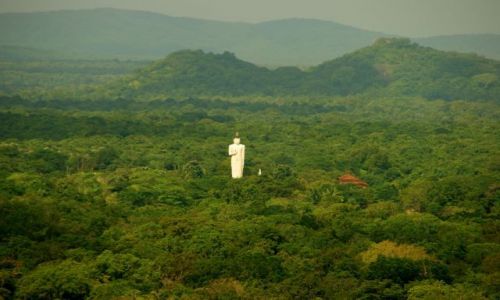 Zdjęcie SRI LANKA / Siliguri / Siliguri / Wystaje