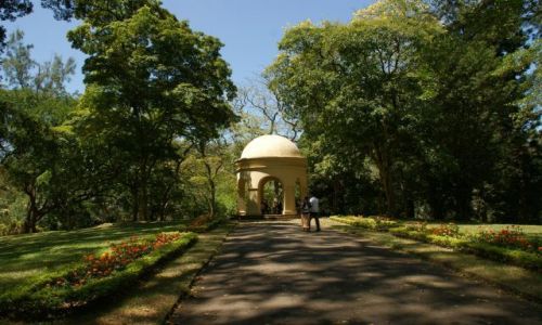 Zdjęcie SRI LANKA / Kendy / Kendy / Park